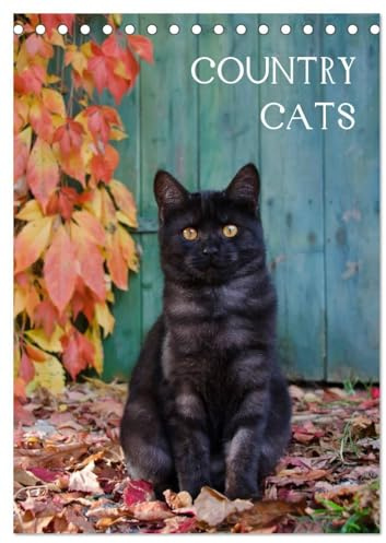 COUNTRY CATS (Tischkalender 2026 DIN A5 hoch), CALVENDO Monatskalender: Bezaubernde Katzen fotografiert auf dem Land und in Bauerngärten. (CALVENDO Tiere)