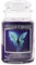 Village Candle Fairy Dust Apothekerkerze im Glas, groß, 602 ml, Violett