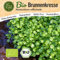Little Plants BIO Brunnenkresse Samen 1500 Brunnenkressesamen Kräutersamen Kresse für Kräutergarten Samenfest Kräuter Samen für Küche, Balkon und Garten