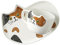 Ipetboom 1Juego Taza de Cerámica de Gato con Platillo para Bebidas para y Navidad