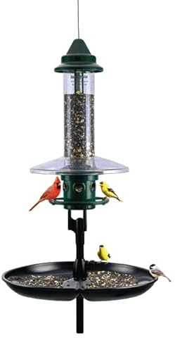 Squirrel Buster Plus Podium, Ultimate Squirrel-Proof Bird Feeding Station, Includes Plus Bird Feeder, Weather Guard, Pole Adaptor, BirdsUP Single Pole and Seed Catcher Tray