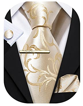 Barry.Wang Herren Krawatte Einfarbig Paisley Uni Schlips Satin Mit Einstecktuch Hochzeit Krawattenset