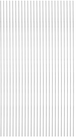 QUARKZMAN 25 piezas de Brochetas de Metal 29cm x 1.6mm Palitos Redondos de Acero Inoxidable Reutilizables para Barbacoa al Aire Libre Parrilla para Asar Carne Camarones Frutas Verduras