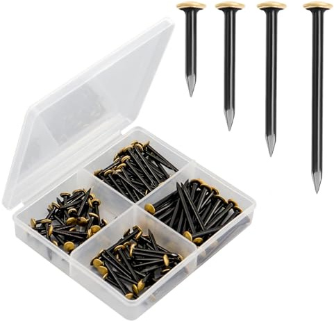 BEASAFY 120 Pièces Clous pour Tableaux, 20/25/30/40 mm Images Ongles, Clous Muraux en Acier au Carbone Moyen 55# avec Tête en Laiton, Ongles en Acier Trempé pour Suspension de Décorations