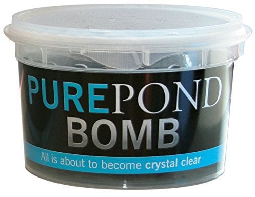 Evolution Aqua Pure Teichbombe
