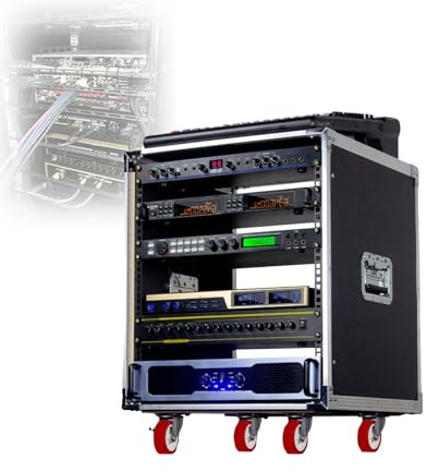 Lightweight 10U PA DJ Rack/Road Case, Mixer Rack, Metal Construction, 19.5” Depth, Wheels, Heavy-Duty Latches, Plywood, Non-slip Side Handles, for Pro Tour Grade(B2)