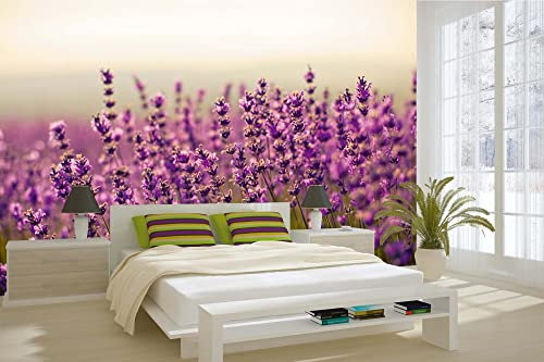 Vlies Fototapete FABELHAFTER LAVENDEL 375 x 250 cm (inkl. Kleister) - Vlies Tapete, Wandtapete, Wandbilder - Tapete für Wohnzimmer Schlafzimmer, Büro, Küche - Montagefertig