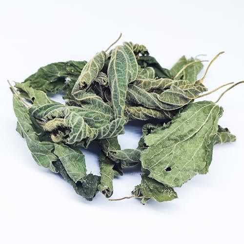 Premium Brennnesselblätter ganz 10g - Brennessel Laub für Aquarium & Terrarium > Garnelen, Schnecken, Krebse, Welse | 3 in 1 = Futter, Versteck & Wasseraufbereitung