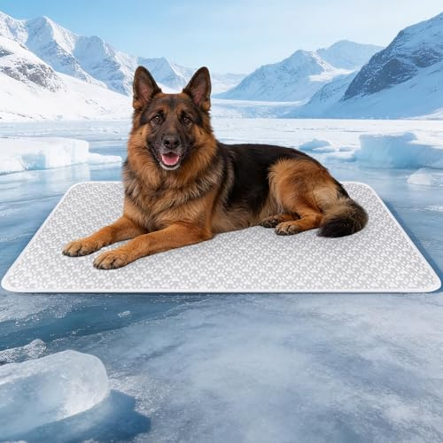 TUSRAC KüHlmatte für Hund Und Katze, Ohne Gel, SelbstküHlend, 71 X 56 cm