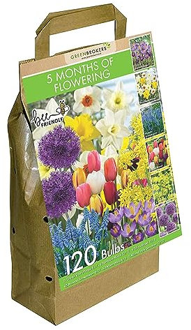 Multi Variety Flowering Bulb Value Pack | 5 Months of Flowering | 120 Bee-Friendly Dutch Bulbs | Eco-Friendly Packaging | Continuous Spring to Summer Blooms