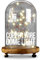 iN Home Copper Wire LED Dome Light with Remote - 30 LED Fairy Lights on 3M Long Copper Wire with Glass Dome and Wooden Base - Perfect Home Decor or Table Centrepiece Decoration