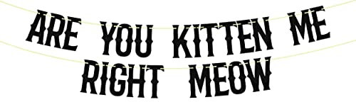 Are You Kitten Me Right Meow Banner, Kitty Banner, Cat Party Dekoration, Meow Banner, Cat 1st Birthday Party Decor Black Glitter