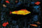 Paul Klee - Der Goldfisch - Poster Kunstposter Druck - 91,5x61 cm