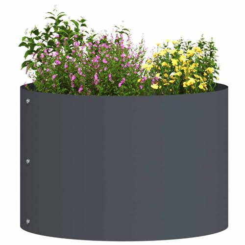 vidaXL Pflanzenring Anthrazit 30 x 30 x 20 cm Kaltgewalzter Stahl | Der schlanke zylindrische Look hält deine Pflanzen sicher und gibt jedem Raum oder Balkon einen modernen Touch Sein