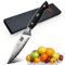 SHAN ZU Damastmesser Schälmesser, Damaskus Gemüsemesser Spickmesser Obstmesser Küchen Messer, 67-Schicht Damaststahl AUS10 Stahl Sharp Damast Messer mit G10 Griff/Geschenkbox