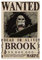 Leinwand-Poster, Motiv Wanted Brook, 30 x 45 cm, ohne Rahmen