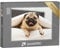 puzzleYOU: Puzzle 1000 Teile „Lustiger Mops unter Einer kuscheligen weißen Decke“ – aus der Puzzle-Kollektion Mops, Hunde