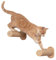Holz Katzentreppe, Katzenleiter mit Juteseil, Katzentreppe Wand, Katzenbretter für die Wand, Katzen Treppe, Katzentreppe Kletterwand Katze für Katze Klettern Spielen (2 Stufen)
