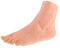 Sharplace (1 Packung Dekobein Dekofuß Fuß Modell Präsentationsfuß, Schmuckhalter Linker Fuss zur Fußkettchen, Socken Display Anzeigen