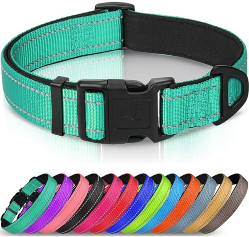 Joytale Reflective Dog Collar, Soft Neoprene Padded, Metal D-Ring, Nylon Pet Collar Adjustable for Large Dogs, Teal, L