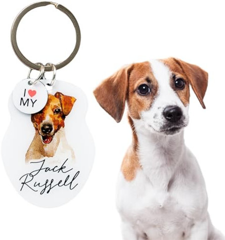 Splosh Porte-clés personnalisé pour animaux de compagnie,Porte-clés pour chiens,Cadeaux personnalisés,Porte-clés pour amoureux des chiens,Accessoires pour chiens, multicolore, S