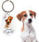 Splosh Porte-clés personnalisé pour animaux de compagnie,Porte-clés pour chiens,Cadeaux personnalisés,Porte-clés pour amoureux des chiens,Accessoires pour chiens, multicolore, S