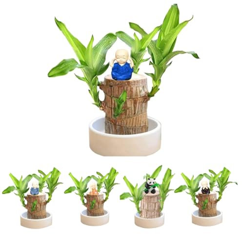 Dasongff Bois Brésilien à Germination Magique, Plantes de Bambou Porte-Bonheur d'intérieur - Souche d'arbre Artificielle - Mini Bois Porte-Bonheur du Brésil - Bois de Bambou Porte-Bonheur
