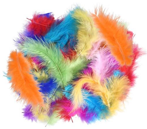 Lunaanda 100 Stück Natur Bunte Federn zum Basteln, Federn Deko für Traumfänger, Federn Groß, Feder Deko für DIY Ohrring, Hochzeit, Traumfänger, Kopfschmucksfedern, Schulhandwerk (Helle Farben)
