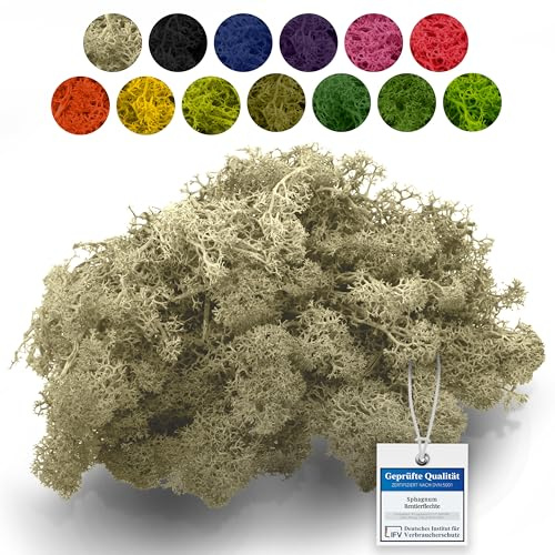 Sphagnum-Shop 1000g Islandmoos Creme - Rentierflechte als Deko Moos | Konserviertes Naturmoos zum Basteln, für den Modellbau und Moosbilder - weich, farbecht und pflegefrei ohne Gießen