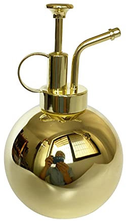 LianShi spruzzatore per piante in acciaio inossidabile, piccolo annaffiatoio, nebulizzatore per piante, moderni attrezzi da giardino per annaffiare e spruzzare piante in vaso al chiuso,0.5L/Colore oro
