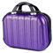 Balakaka Beauty Case da Viaggio Rigido 10L, 14 pollici Beauty Case Donna con Manico, Impermeabile ABS Trucchi Borsa per Cosmetici Può Essere Appeso ai Bagagli, Viola intenso