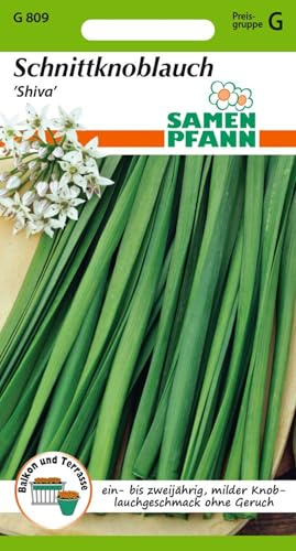 SAMEN PFANN® Schnittknoblauch, Shiva - Kräuter-Samen Gewürz Saatgut Schnittlauch-Samen Samen (Allium tuberosum)