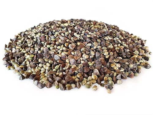 Tigernuessekaufen.de Hanf Buchweizen Partikel Mix 20KG | Karpfen Futter