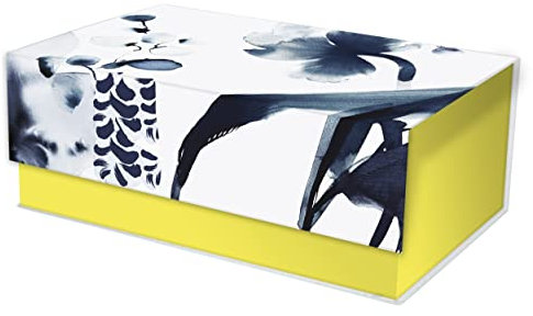 Clairefontaine 115940C - Inkebana, Box/Schachtel rechteckig, 29,8x17,8x10,8 cm, ideal zum Aufräumen, Magnetverschluß, 1 Stück