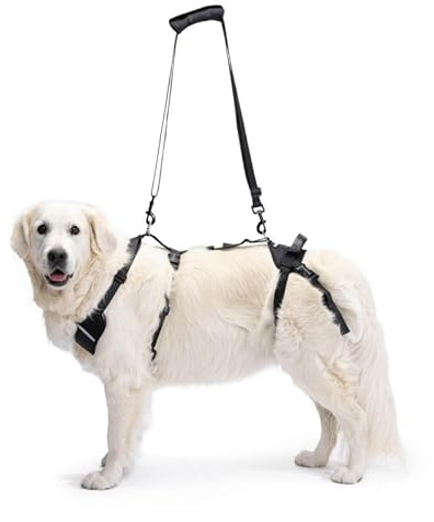 Ortocanis - Ganzkörper-Hundegeschirr zur Unterstützung von Vorder- und Hinterbeine, Größe XL