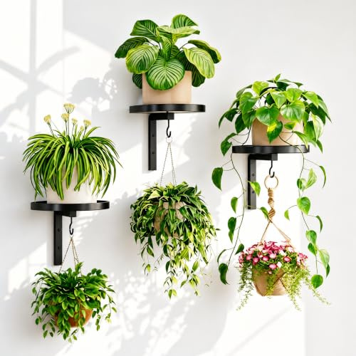 Lot de 3 Étagère Plante Murale, Porte Plante en Métal avec Plateau Rond et Crochet, Plante Murale pour L'Intérieur et L'Extérieur, Support Plantes pour Balcon, Salon et Terrasse