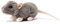 Animigos World Of Nature Squeaking Rat