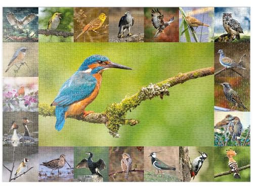 MyPuzzle Vögel des Jahres - Collage Nr.8 Hauptmotiv: Eisvogel - Premium 1000 Teile Puzzle - MyPuzzle Sonderkollektion von Starnberger Spiele