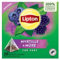 Lipton, Thé Vert, Thé Vert Aromatisé, Infusion à Froid ou Chaud, Goût Myrtille & Mure, Bien Etre, Ingrédients d'Origine 100% Naturelle, 20 Sachets Pyramid