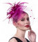 Fascinator Blume Netzmütze Feder Mesh Netz Schleier Tea Party Derby Hut mit Clip und Haarband für Frauen und Handschuhe (A6-Rose Red)