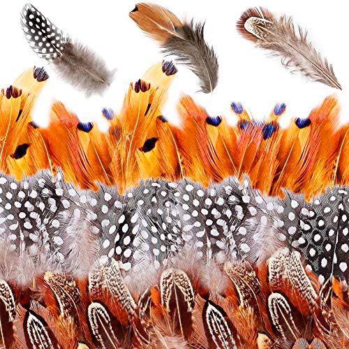 350 Pcs Federn Braun,Indianer Federn,Federn zum Basteln,DIY Federn,Natürliche Federn,Naturfedern,Federn für Traumfänger,Federn für Party Dekoration,Halloween, Weihnachten,Kleidung Dekoration