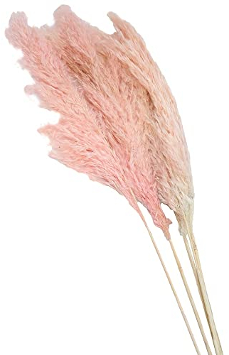matches21 Pampasgras Trockengras Trockenblume Trockenpflanze Kunstpflanze rosa Gebleicht Deko-Gras 1 STK - Länge 80 cm