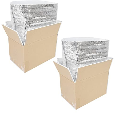 Thermo Chill Doppelt isolierter Karton mit Folie isoliert Tasche Liner, kalte Versandkarton für gefrorene Lebensmittel, Kühler Umzugskarton für den Postversand, kleine Pakete 250x155x140mm