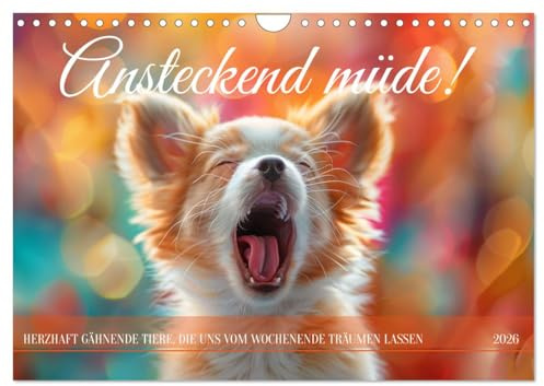 Ansteckend müde! (Wandkalender 2026 DIN A4 quer), CALVENDO Monatskalender: Gähnen Deluxe: Ein Jahr voller ansteckender Tiermüdigkeit (CALVENDO Tiere)