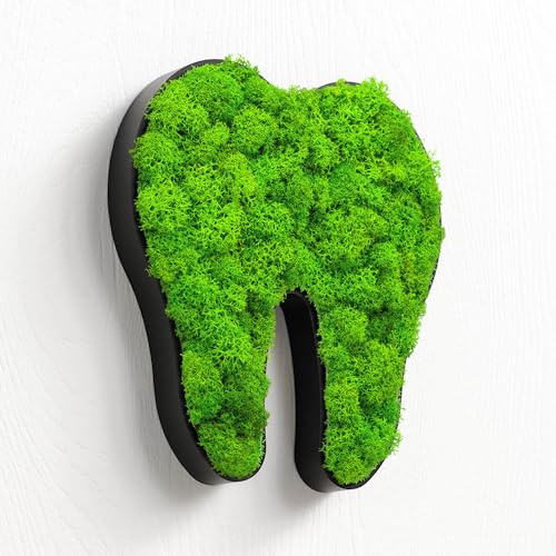 MOOSWERK Moos Türschild Zahnarzt Zahn Ärzte Piktogramm Schwarz | Islandmoos Praxisschild für Zahnarztpraxis & Dentalklinik | Modernes Wandschild