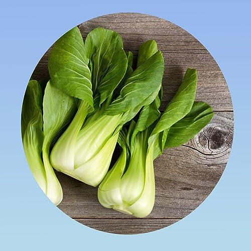 Planète graines - lot de 3 grammes de chou pak choi - environ 1600 graines