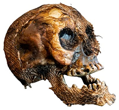 Horror-Shop Vermoderter Totenschädel mit beweglichem Kiefer 22 cm
