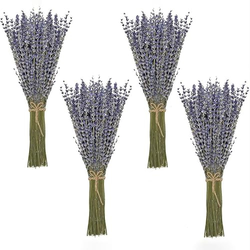 Lavendel getrocknet Bund 100Stängel 42 cm lang Lavendelblüten aus der Provence Lavendelbund Trockenblumen Trockenblumenstrauß