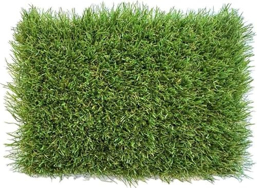 KUNSTRASENWELT - Kunstrasen Flair 630 | Vielseitiger Rollrasen in frischem Grün | Rasenteppich, perfekt für Garten, Terrasse, Balkon & Messen | Kunstrasen mit 30mm Höhe; Größe: 2m x 5m