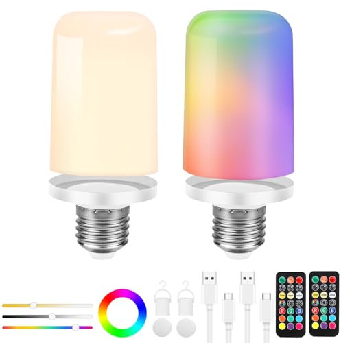 Birnetek Bombilla Recargable USB-C,Bombilla LED E27 Regulable con Mando,Bombilla Inteligente Desmontable con Temporizador,Luz de Emergencia con Imán,Bombilla Portátil Sin Cable,2 Piezas (Acabado mate)